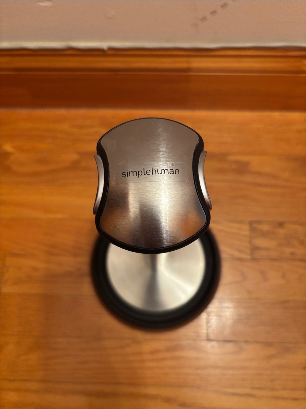 simplehuman Brushed Silver Pedal Trash Can